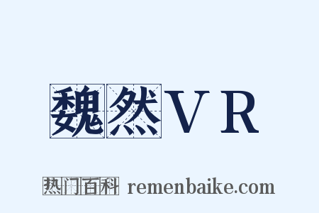 魏然VR是什么意思的图片